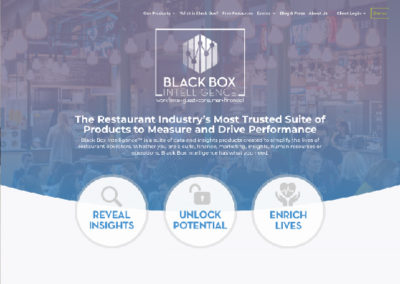 Black Box Intelligence Website