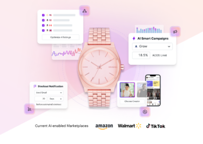 Product Tagging for Teikametrics