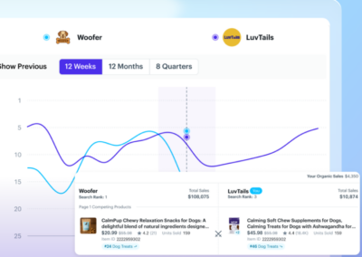 Market Intelligence for Teikametrics